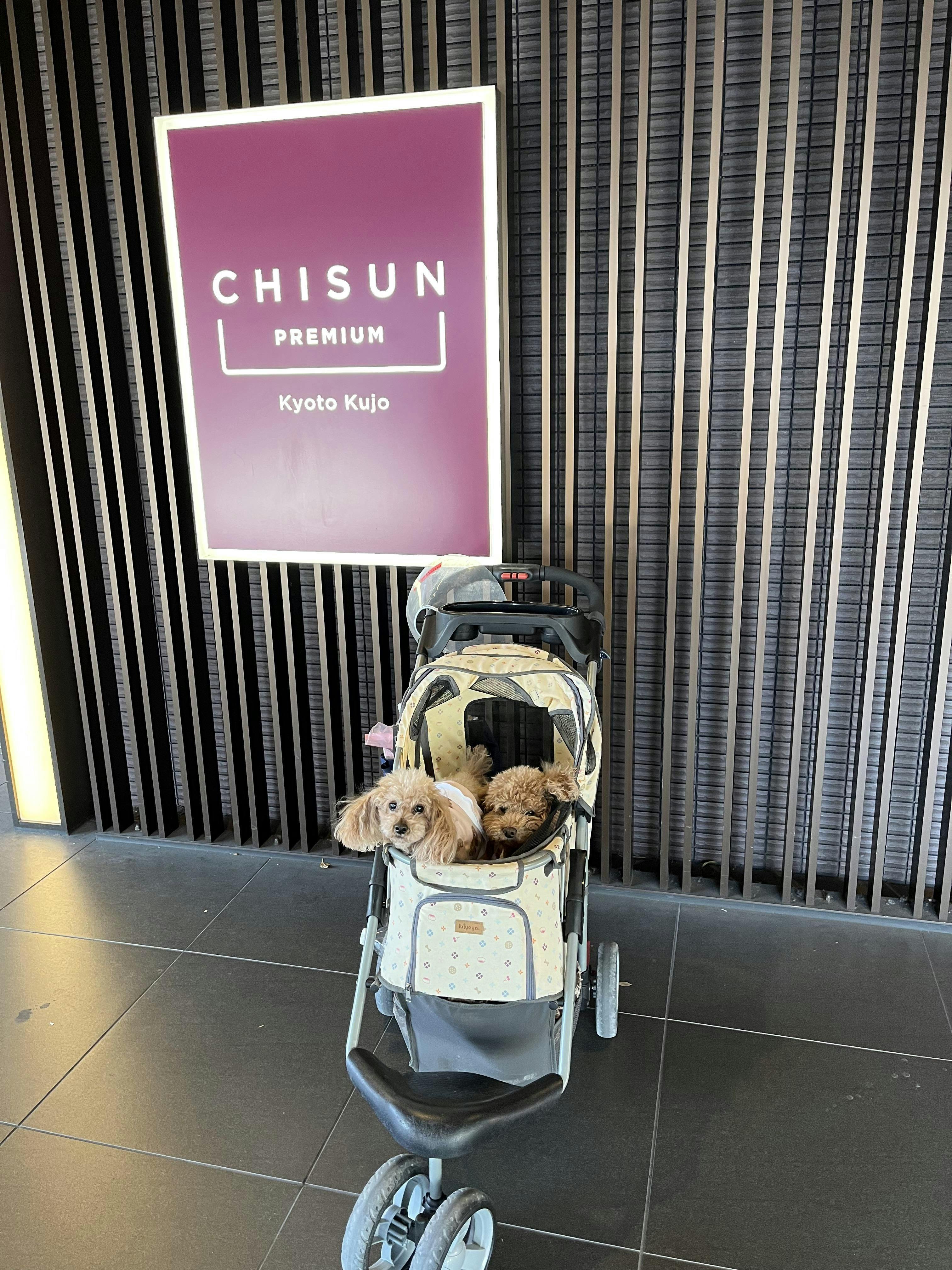 チサンプレミアム京都九条 - クチコミ・評判 - 一休.com