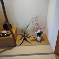 クチコミ画像