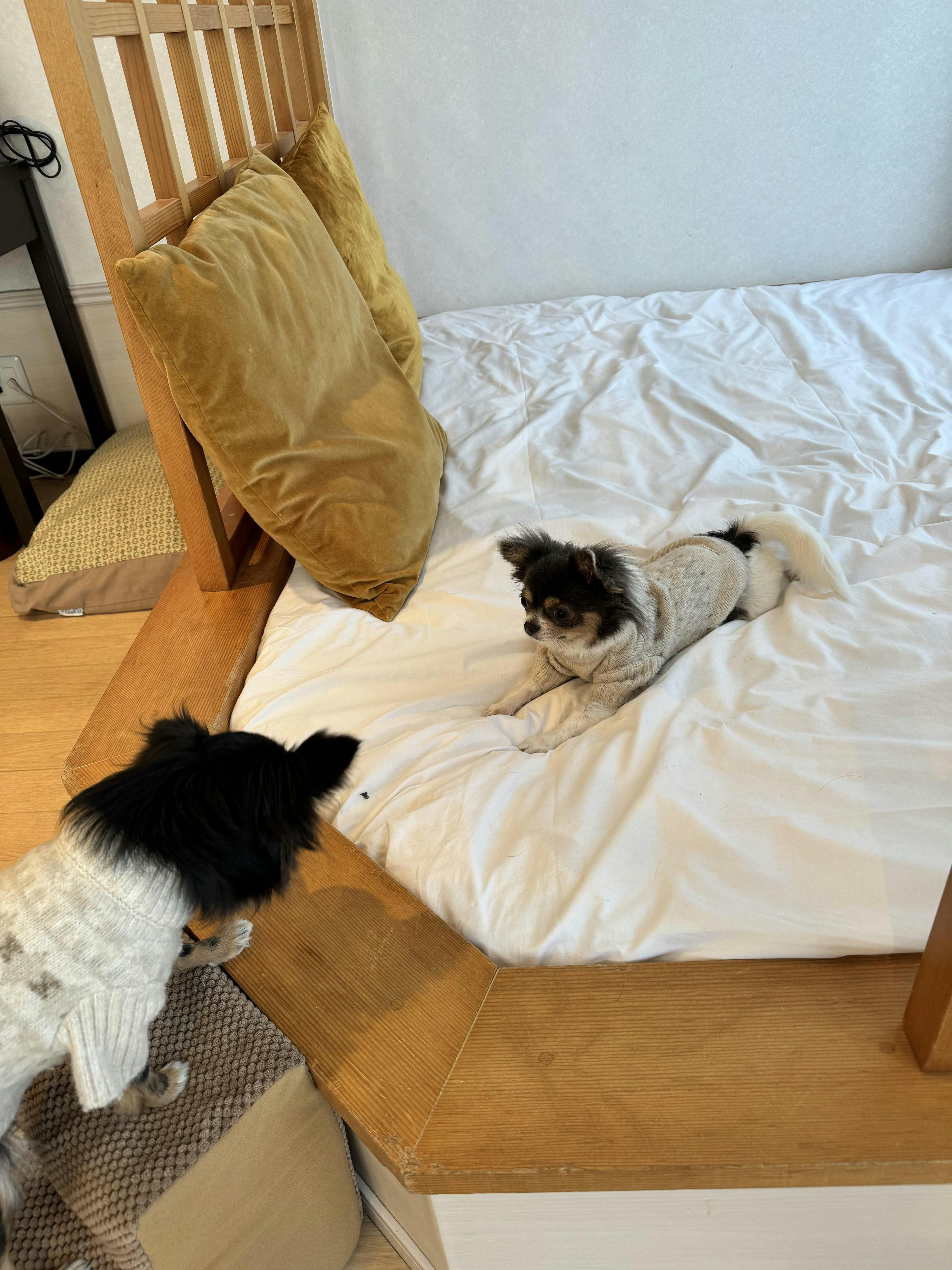クチコミ画像