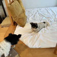 クチコミ画像