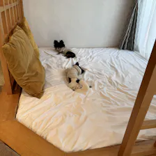 クチコミ画像