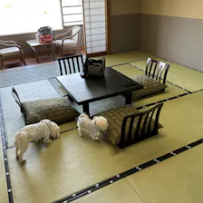 クチコミ画像