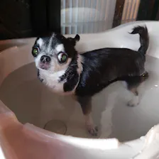 クチコミ画像