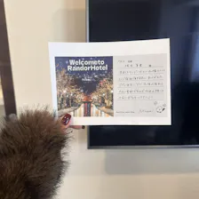 クチコミ画像