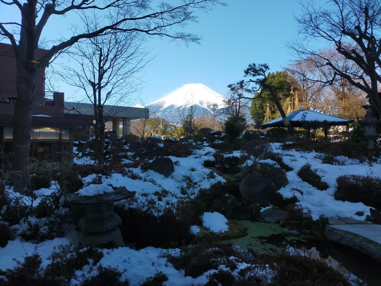 クチコミ画像