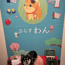 クチコミ画像