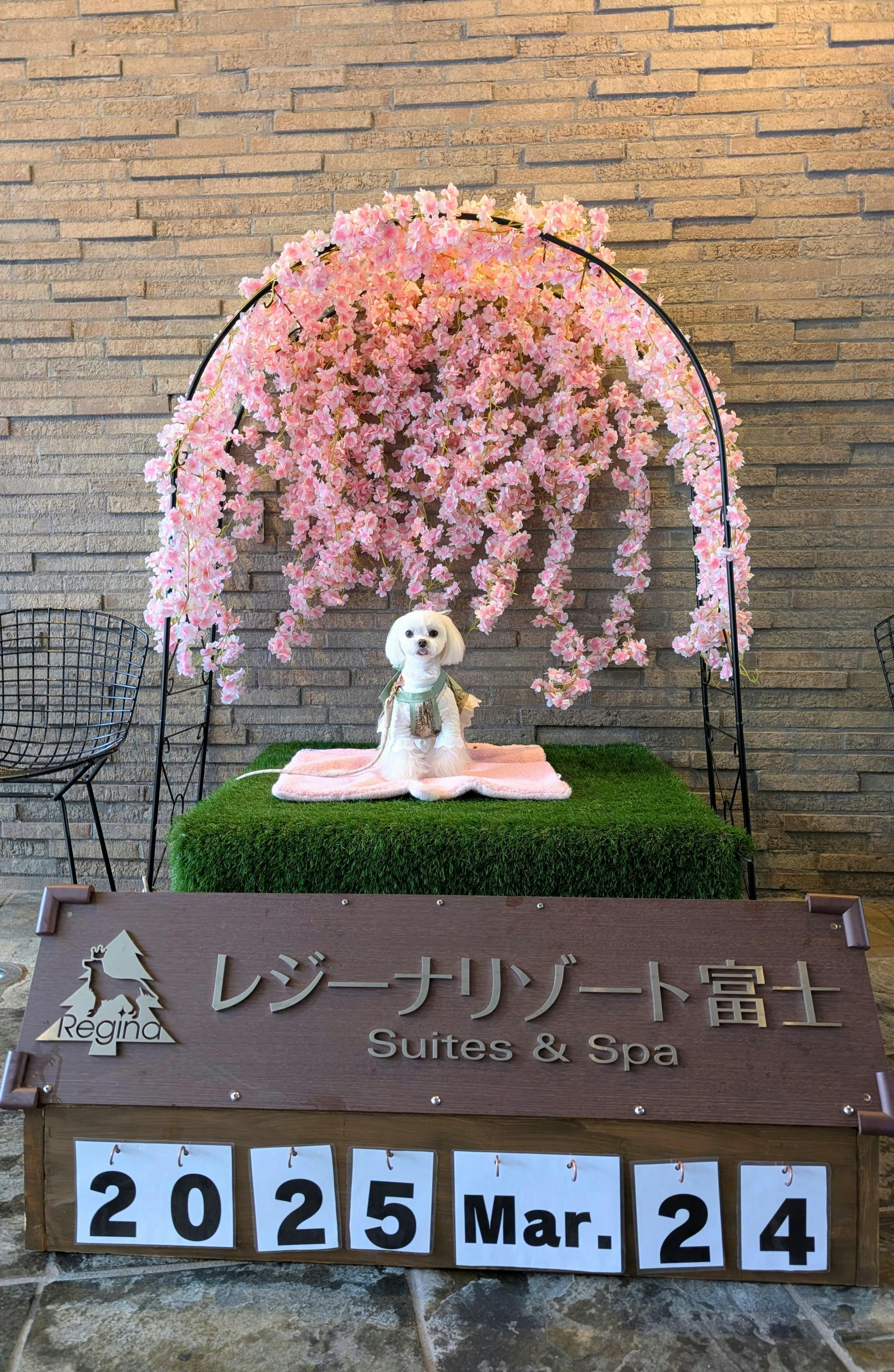 クチコミ画像