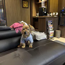 クチコミ画像
