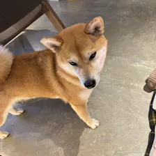 クチコミ画像