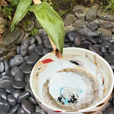 クチコミ画像