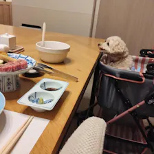 クチコミ画像