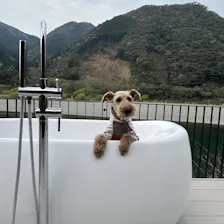 クチコミ画像