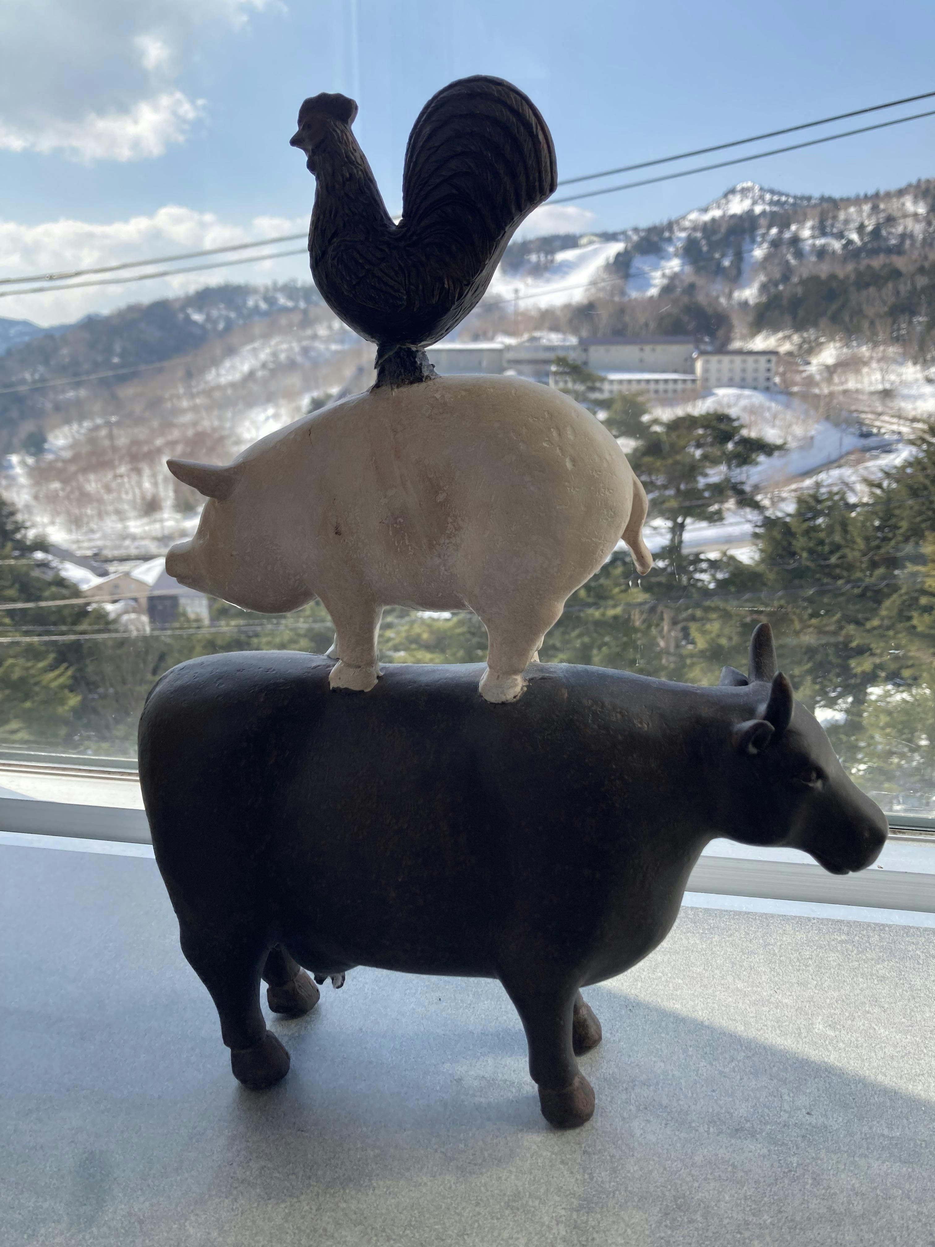クチコミ画像