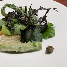 クチコミ画像