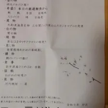 クチコミ画像