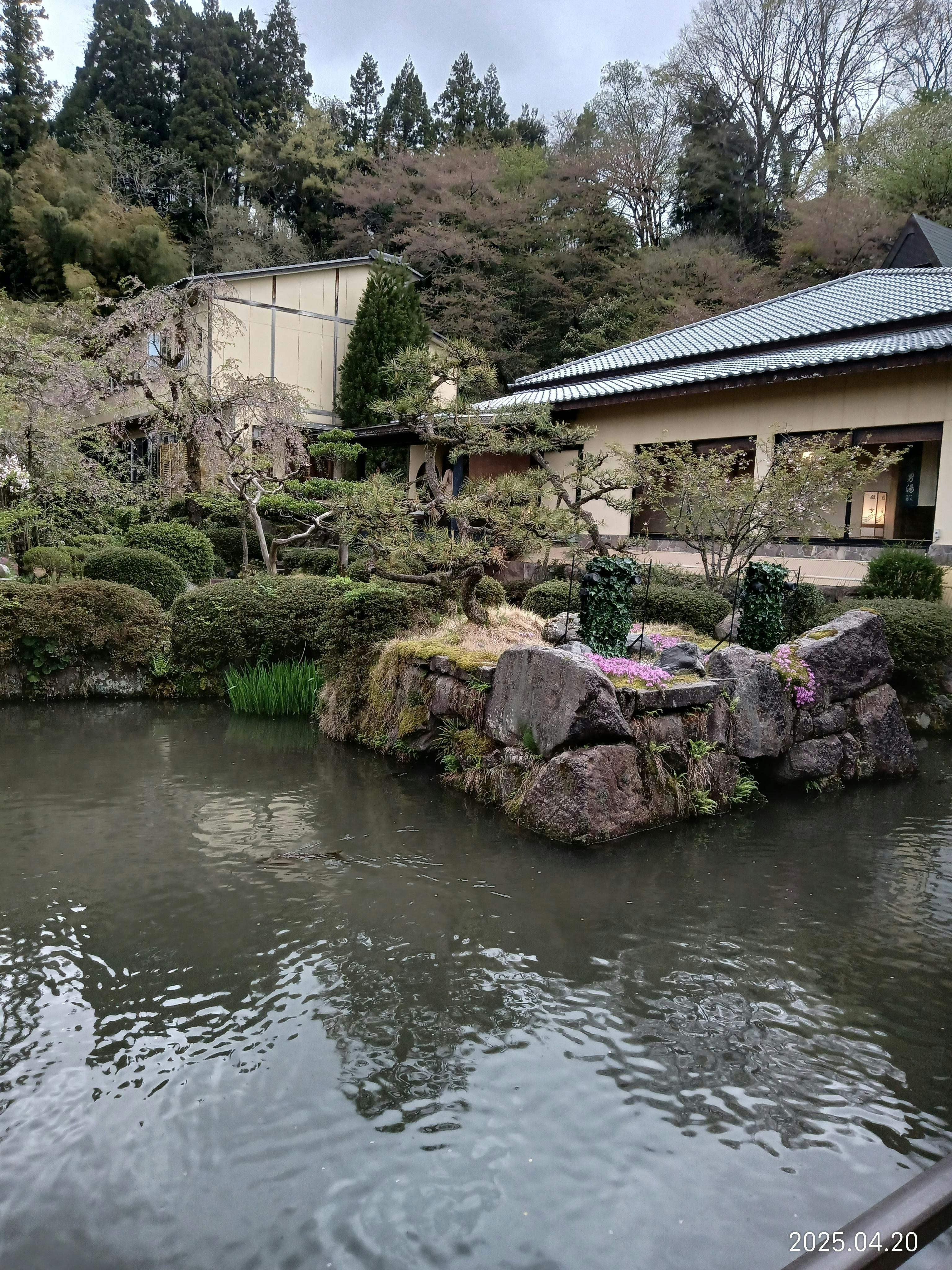 クチコミ画像