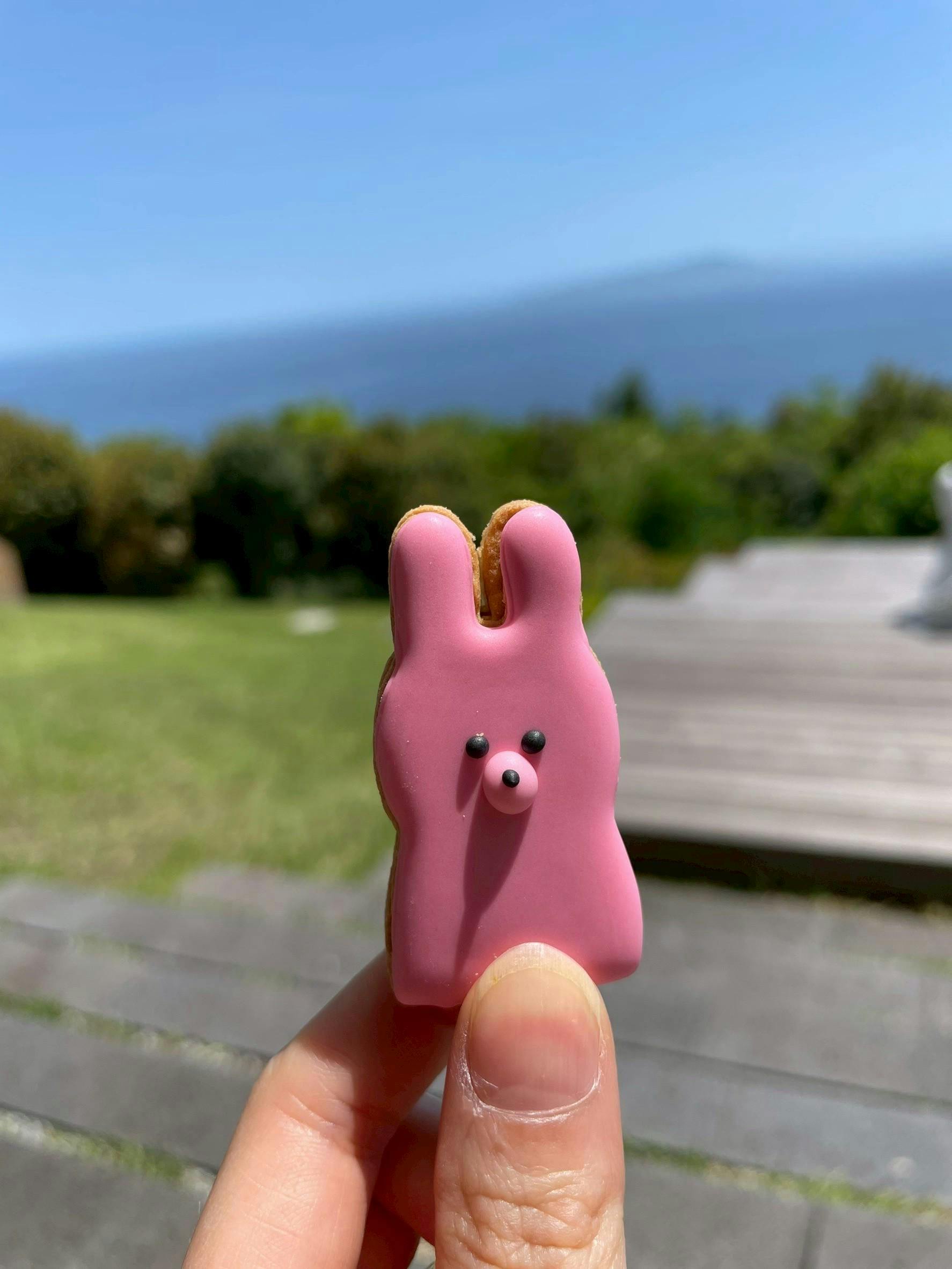 クチコミ画像