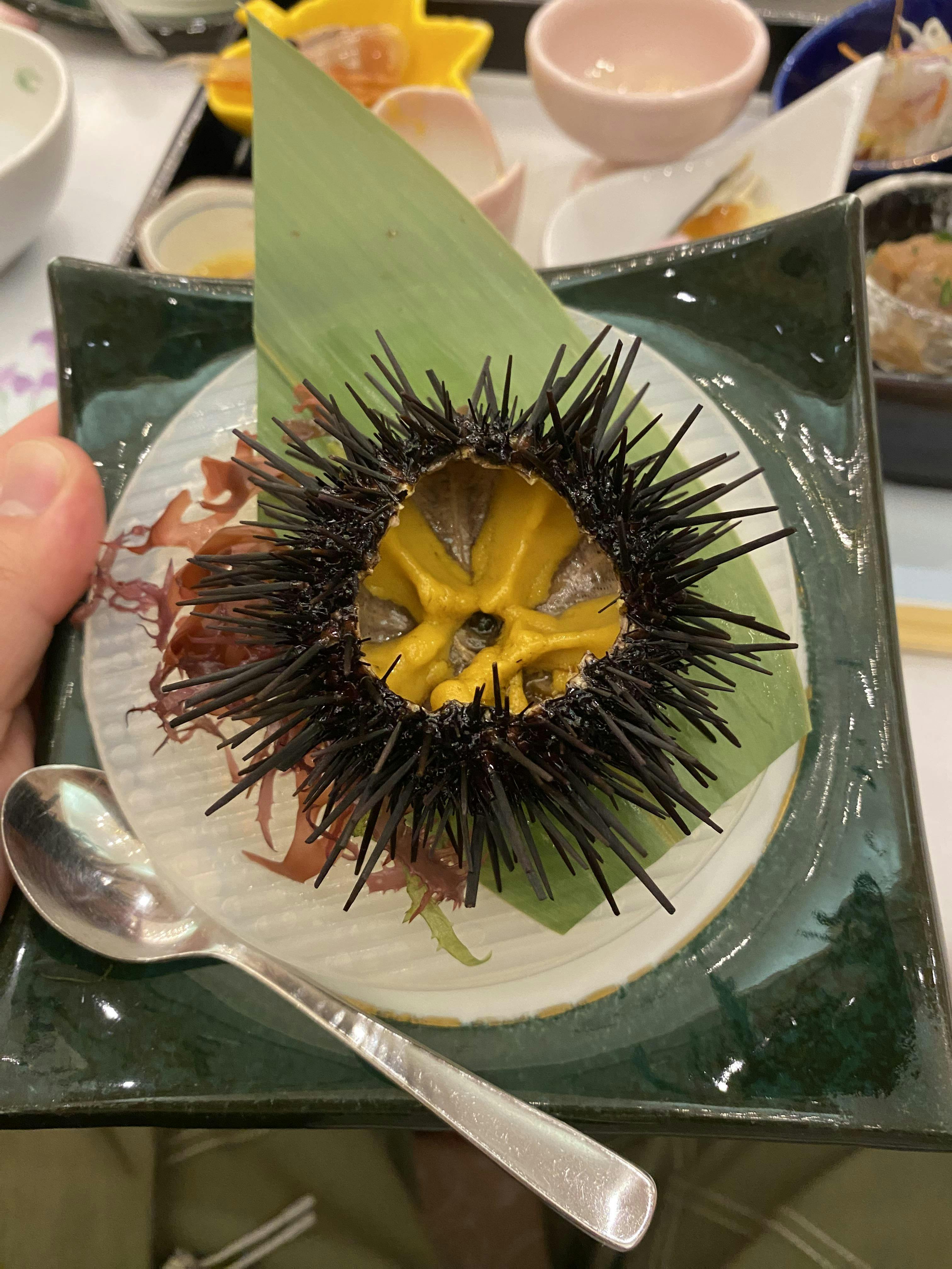 クチコミ画像