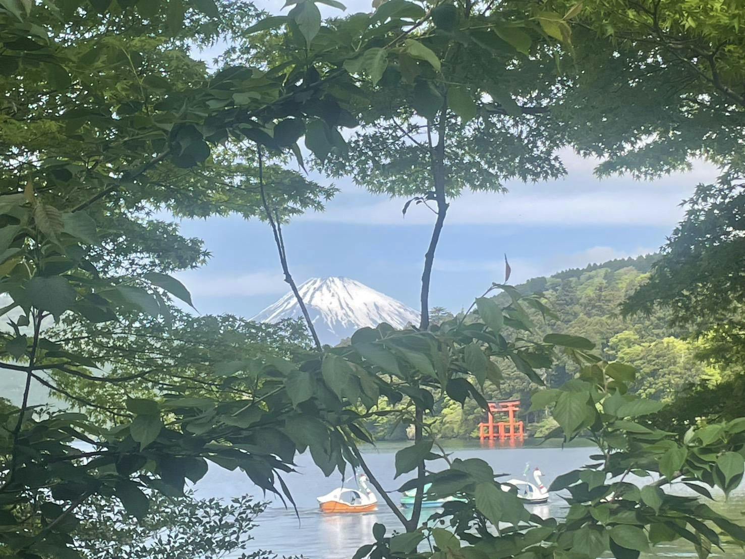 クチコミ画像