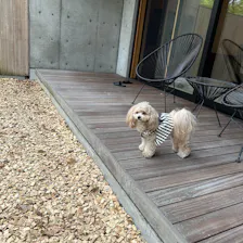 クチコミ画像