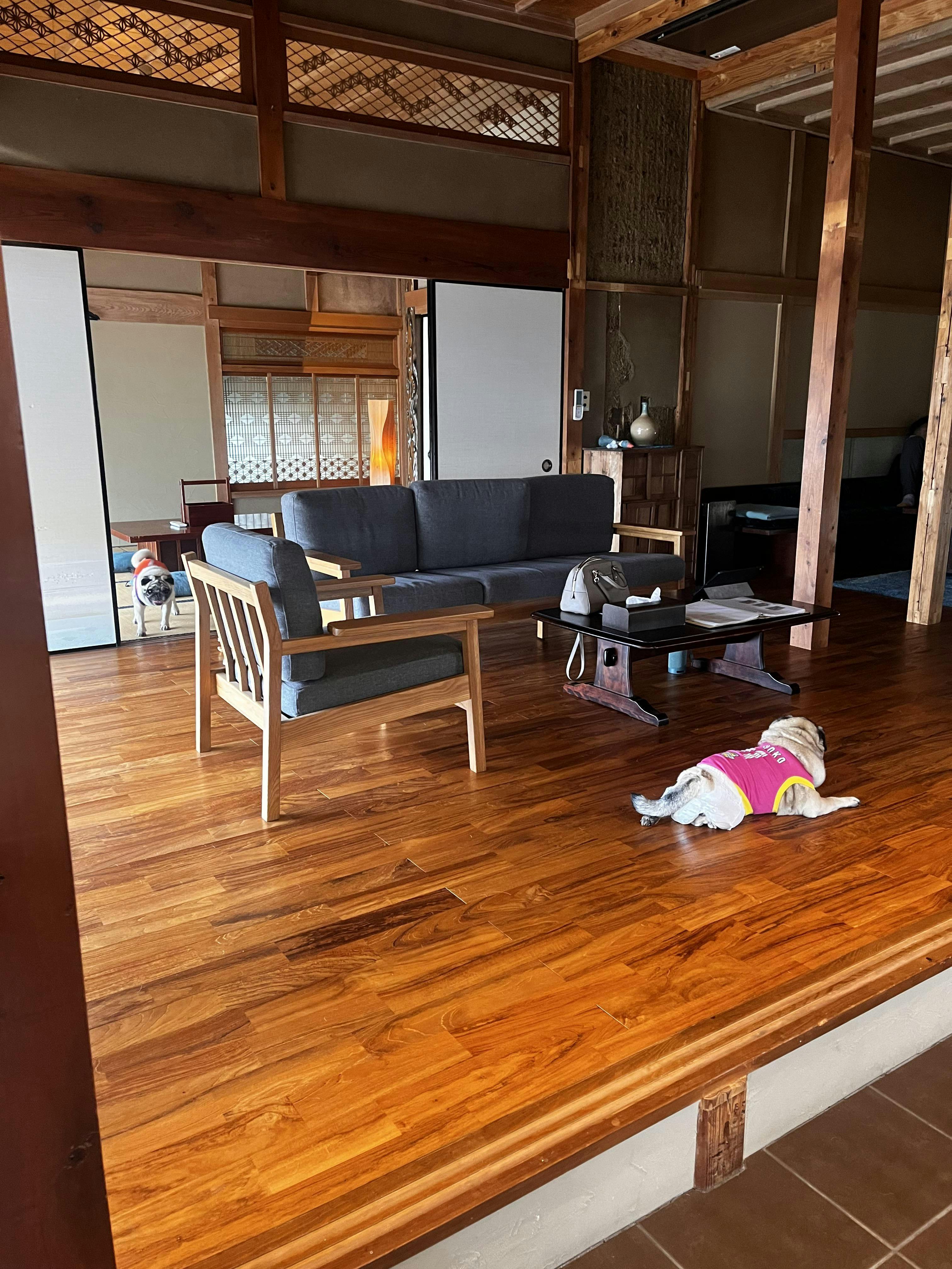 クチコミ画像