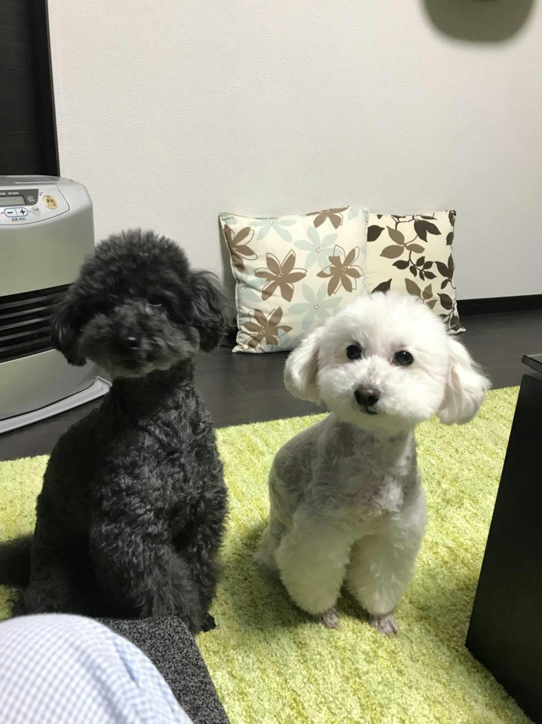 クチコミ画像