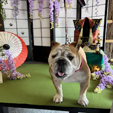 クチコミ画像