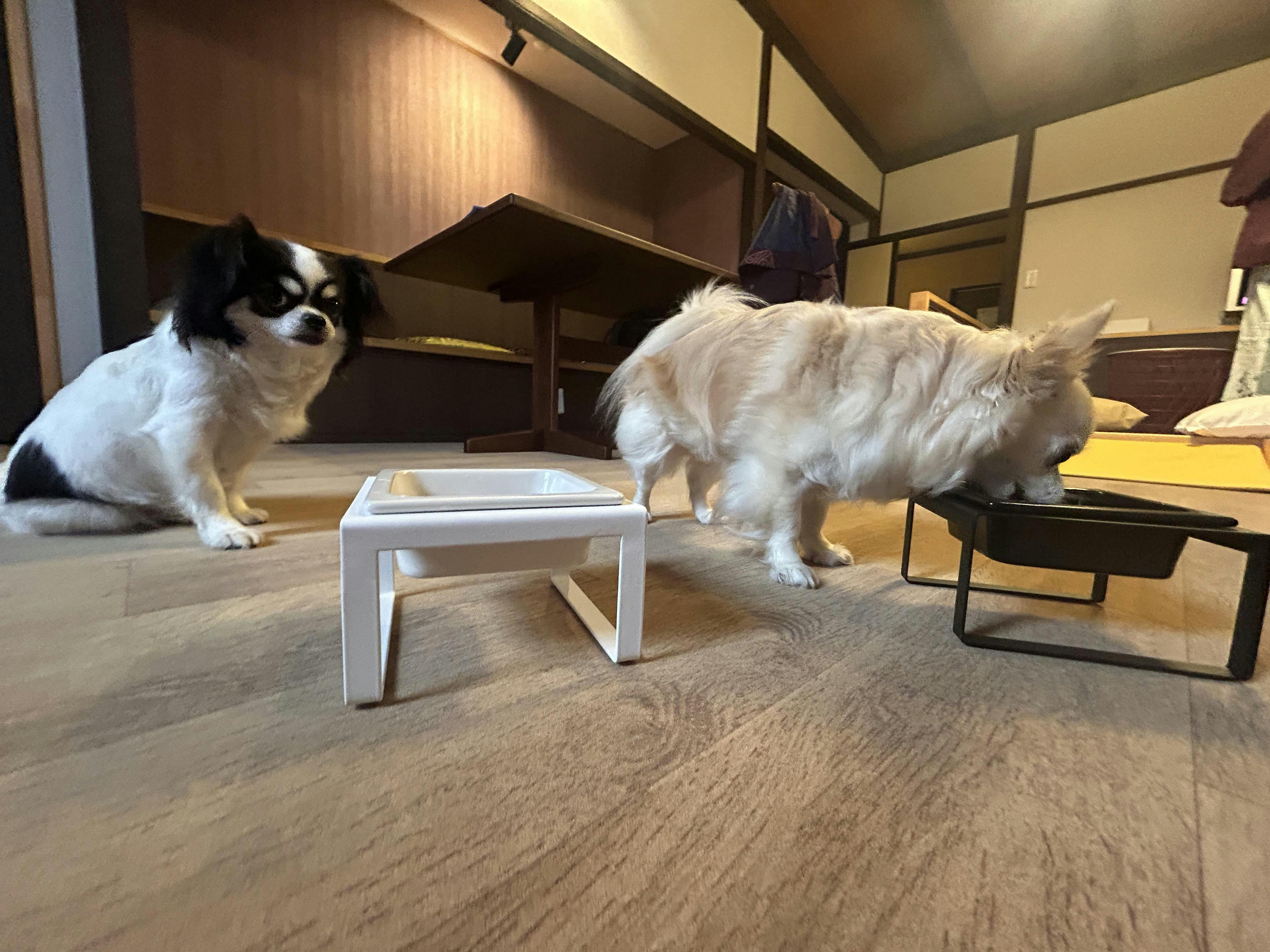 クチコミ画像