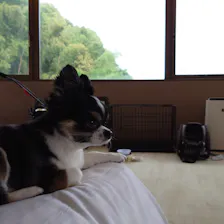 クチコミ画像