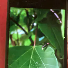 クチコミ画像