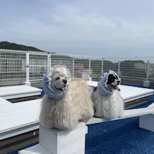 クチコミ画像