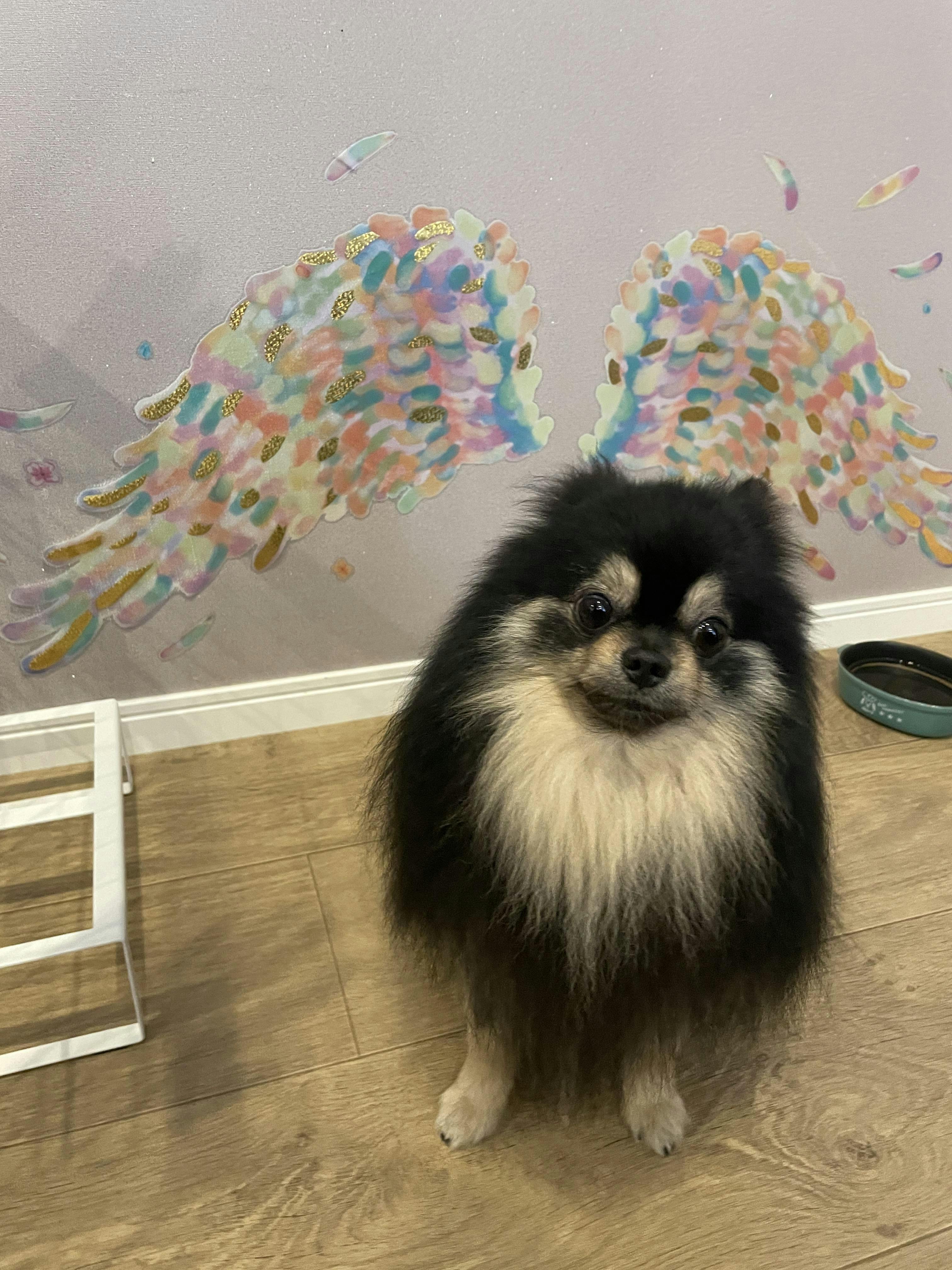 クチコミ画像