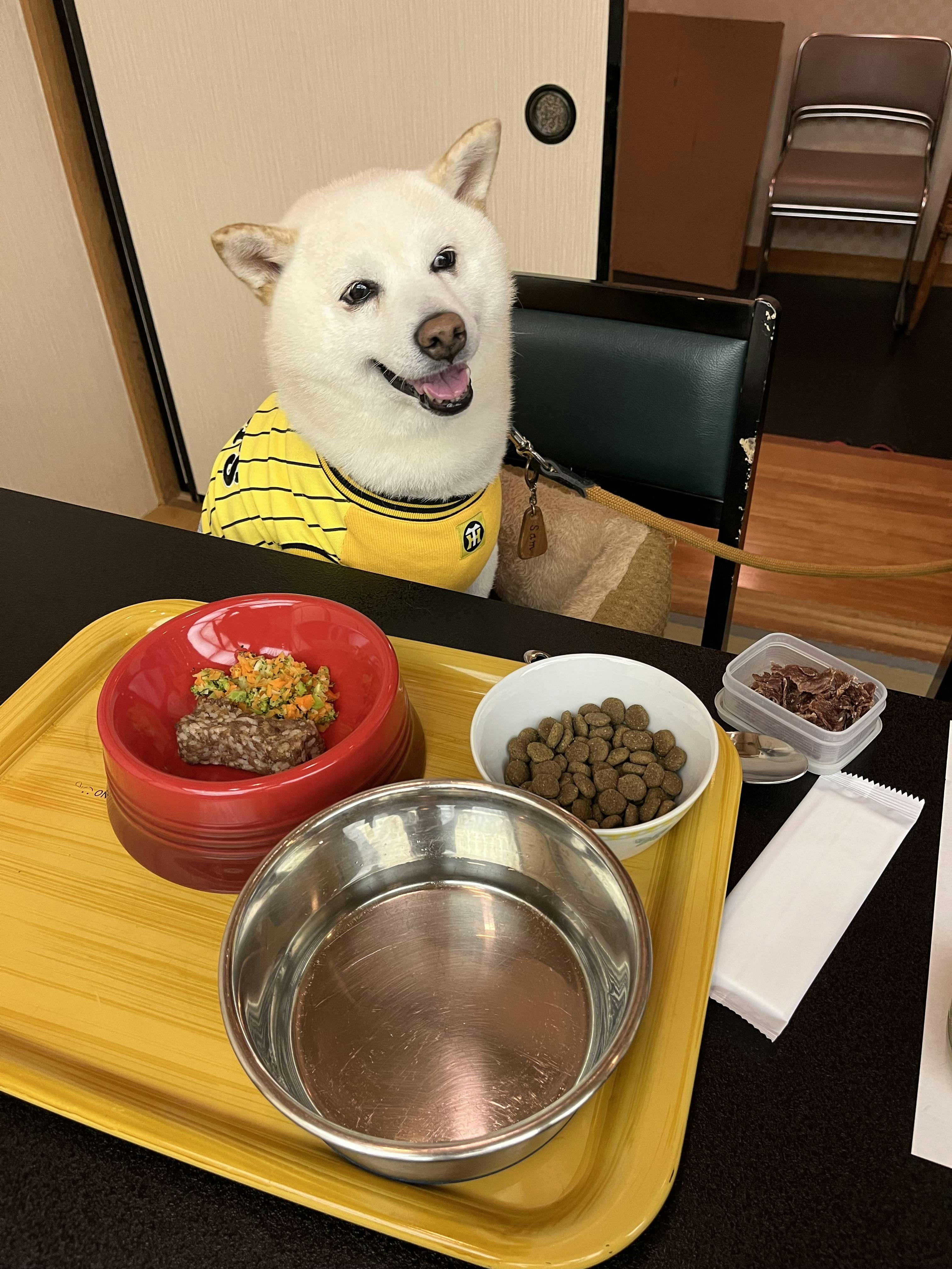 クチコミ画像
