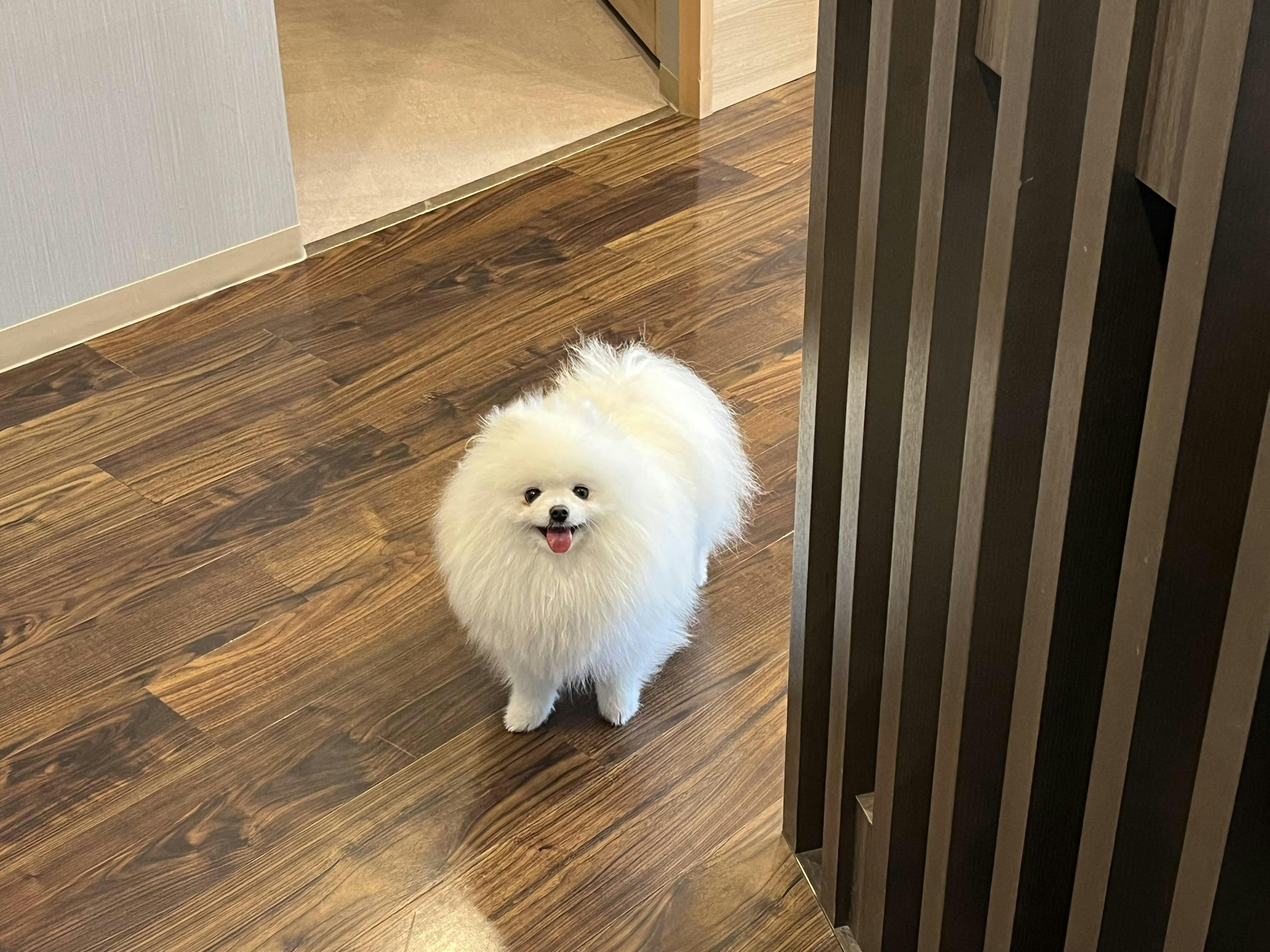 クチコミ画像