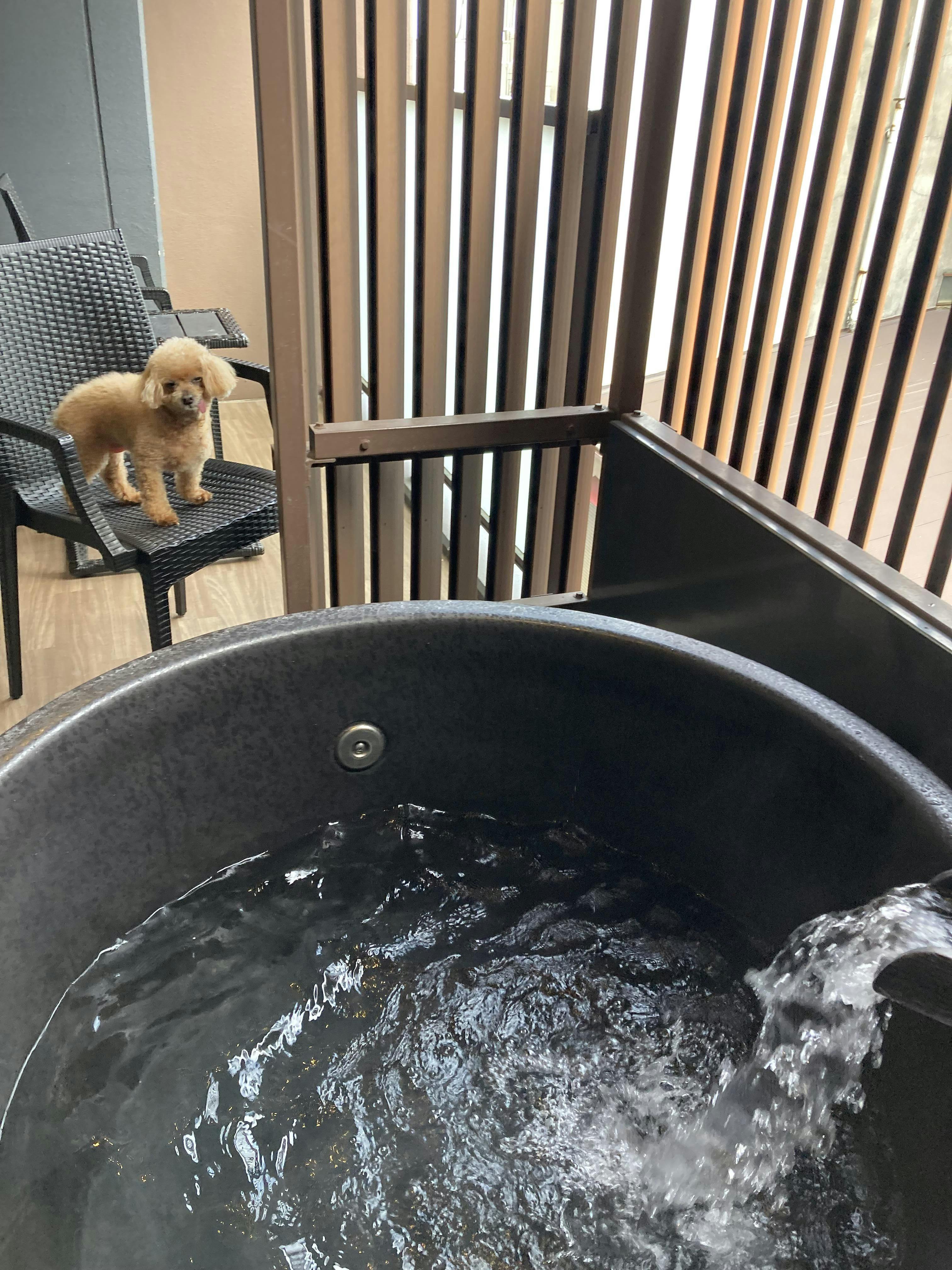 クチコミ画像