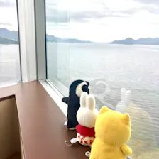 クチコミ画像