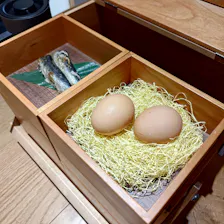 クチコミ画像