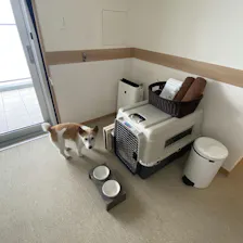 クチコミ画像