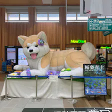 クチコミ画像