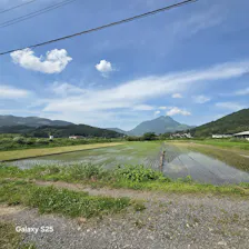 クチコミ画像