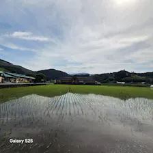 クチコミ画像