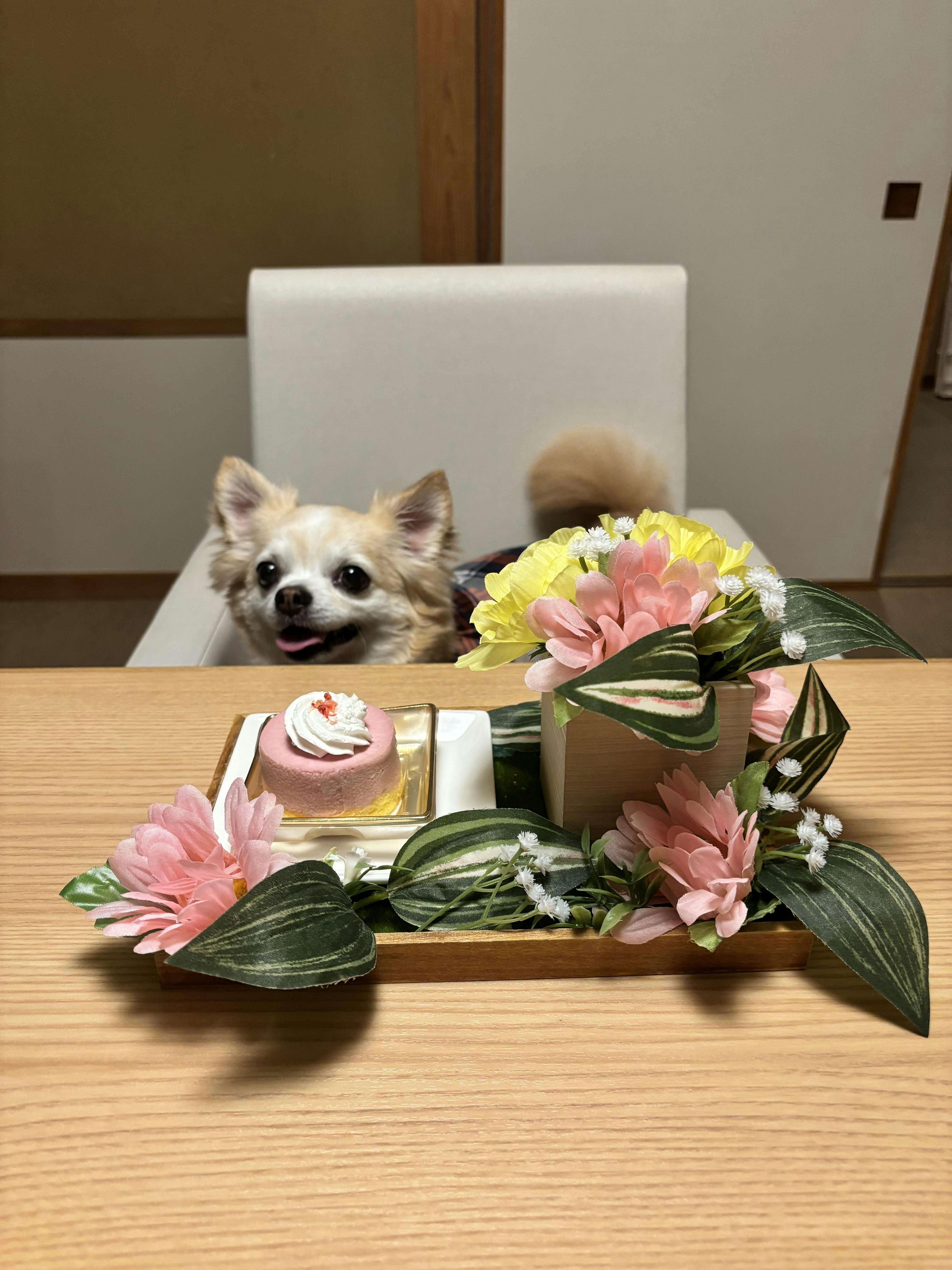 クチコミ画像
