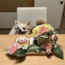 クチコミ画像