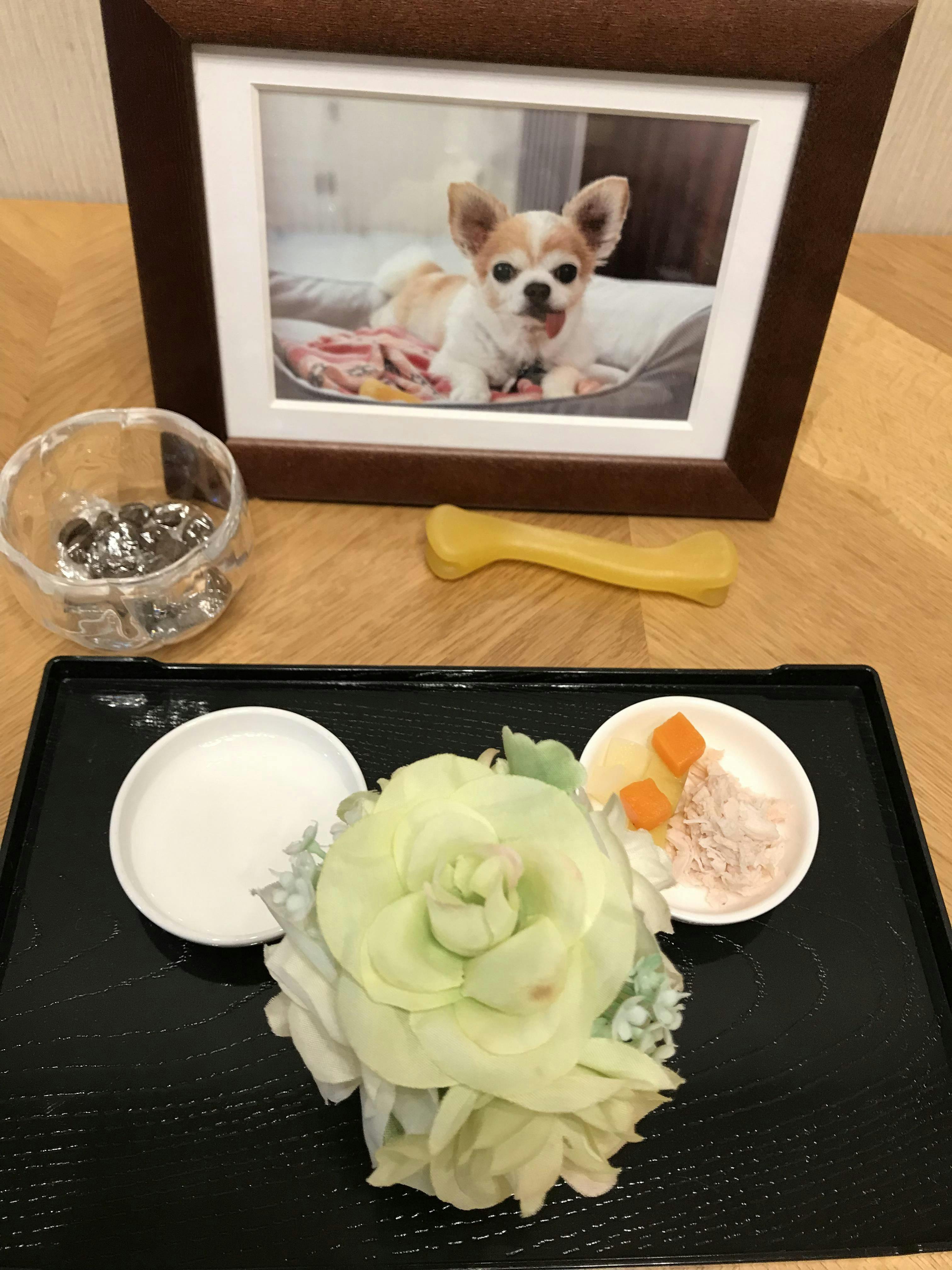 クチコミ画像