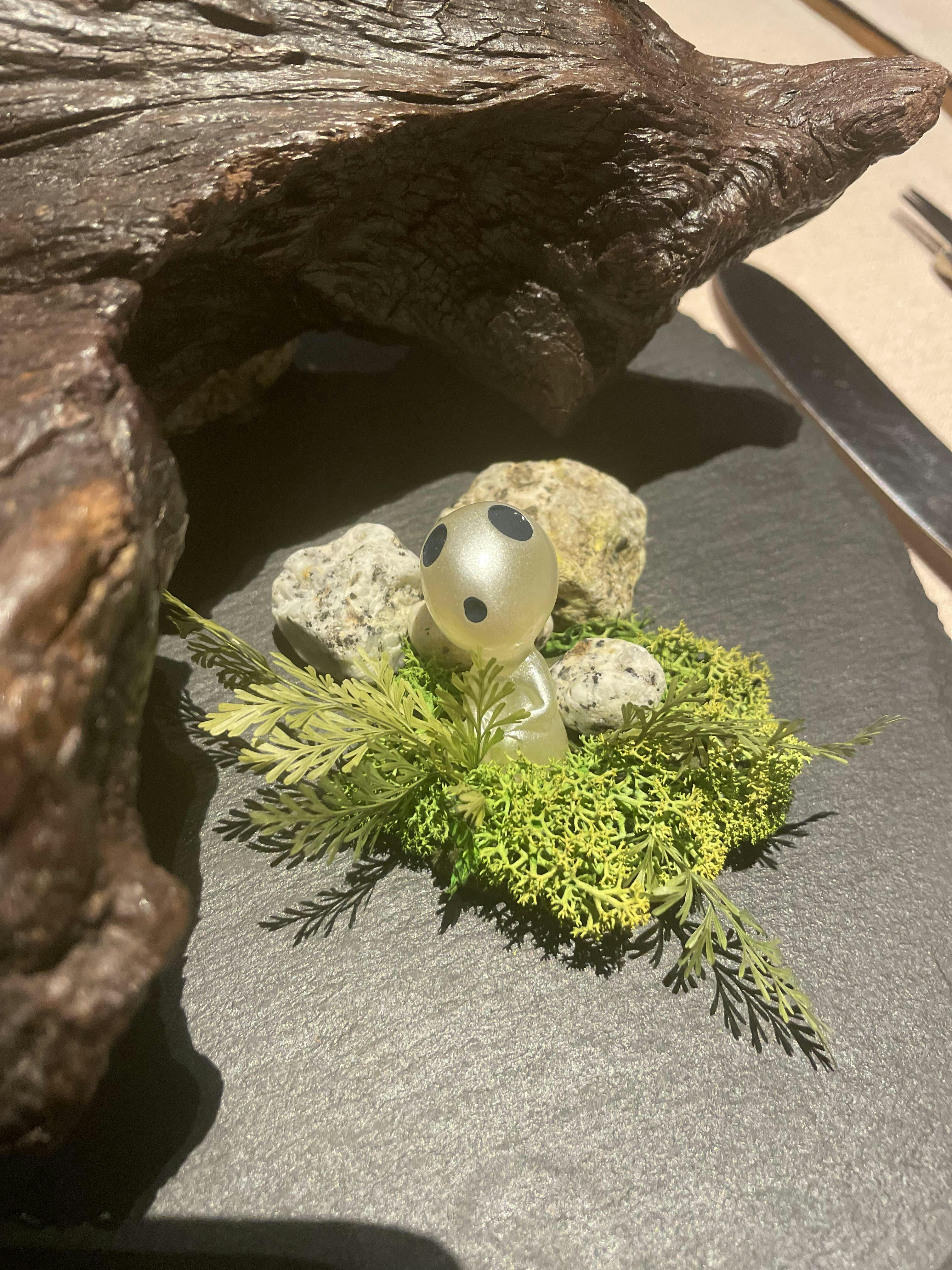 クチコミ画像