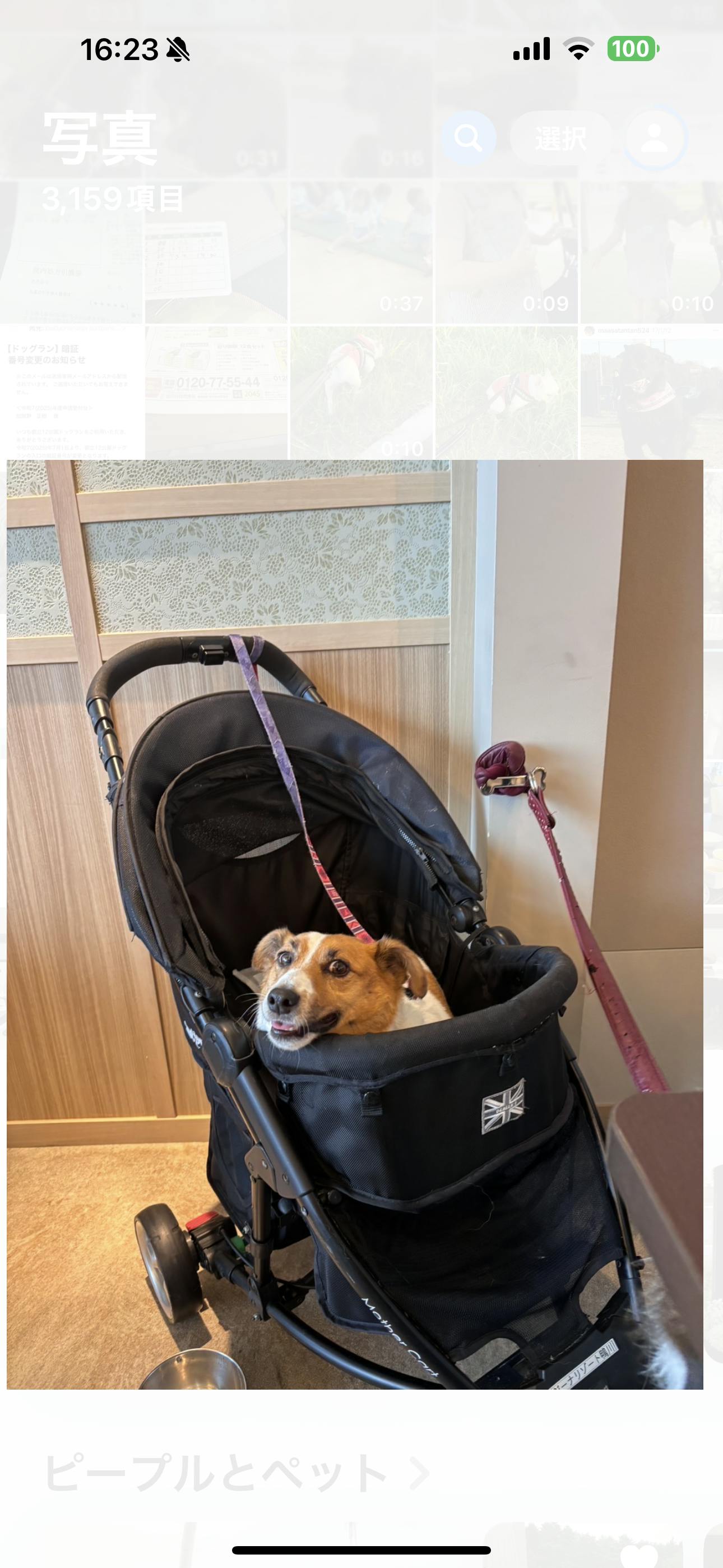 クチコミ画像