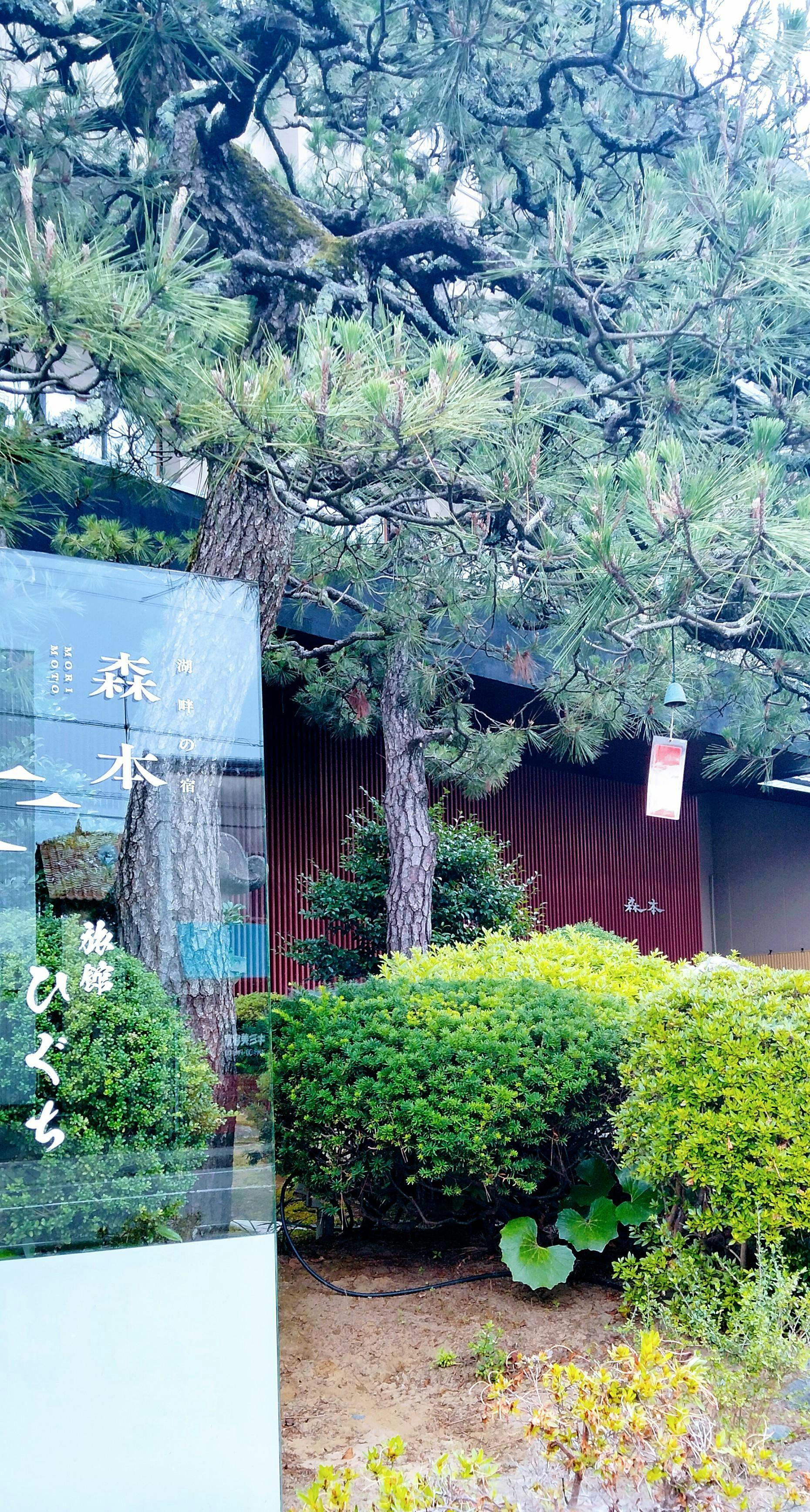 クチコミ画像