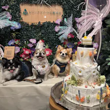 クチコミ画像