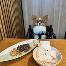 クチコミ画像