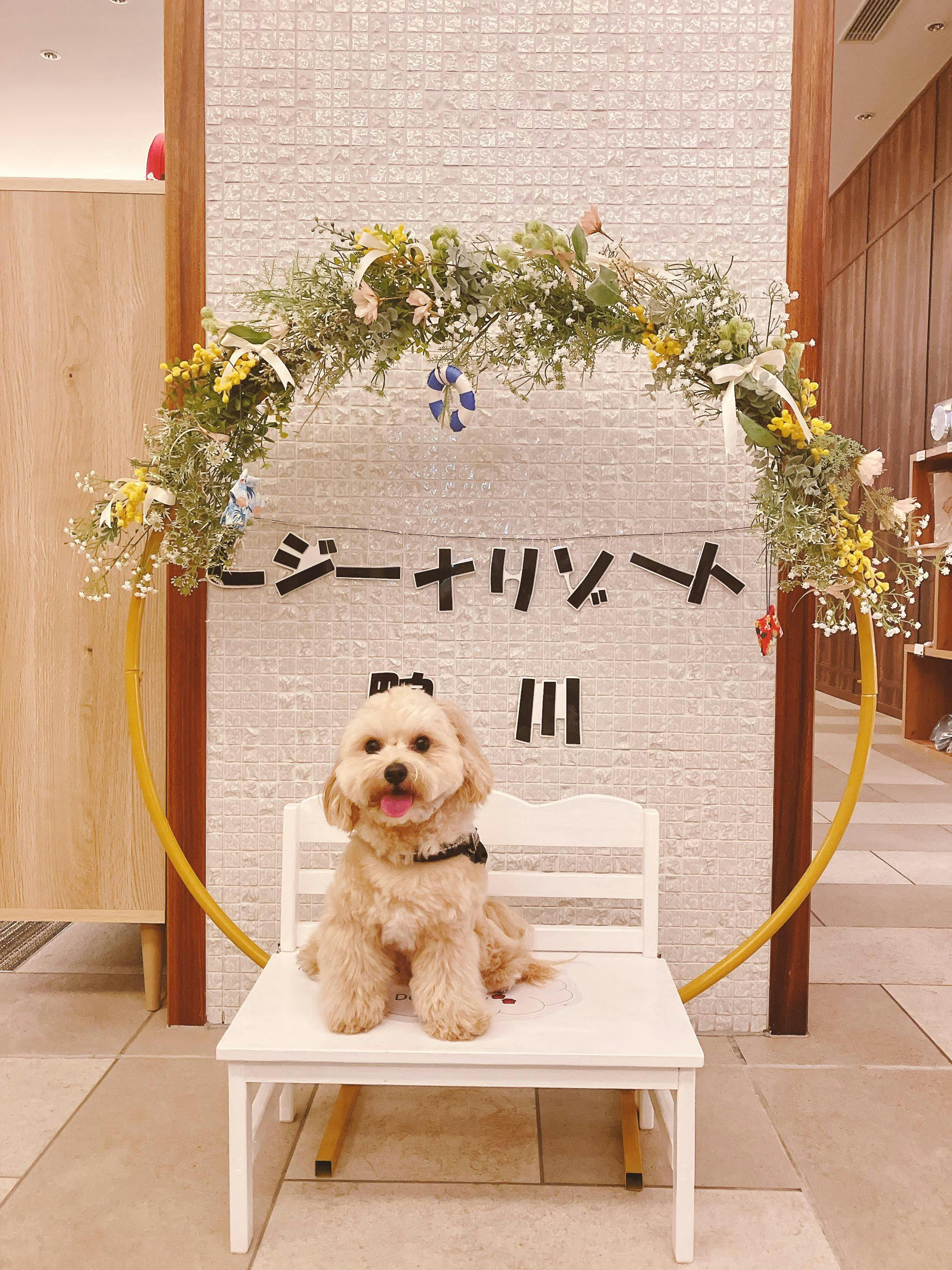 クチコミ画像